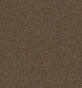Cut/Uncut Titan Brown Carpet