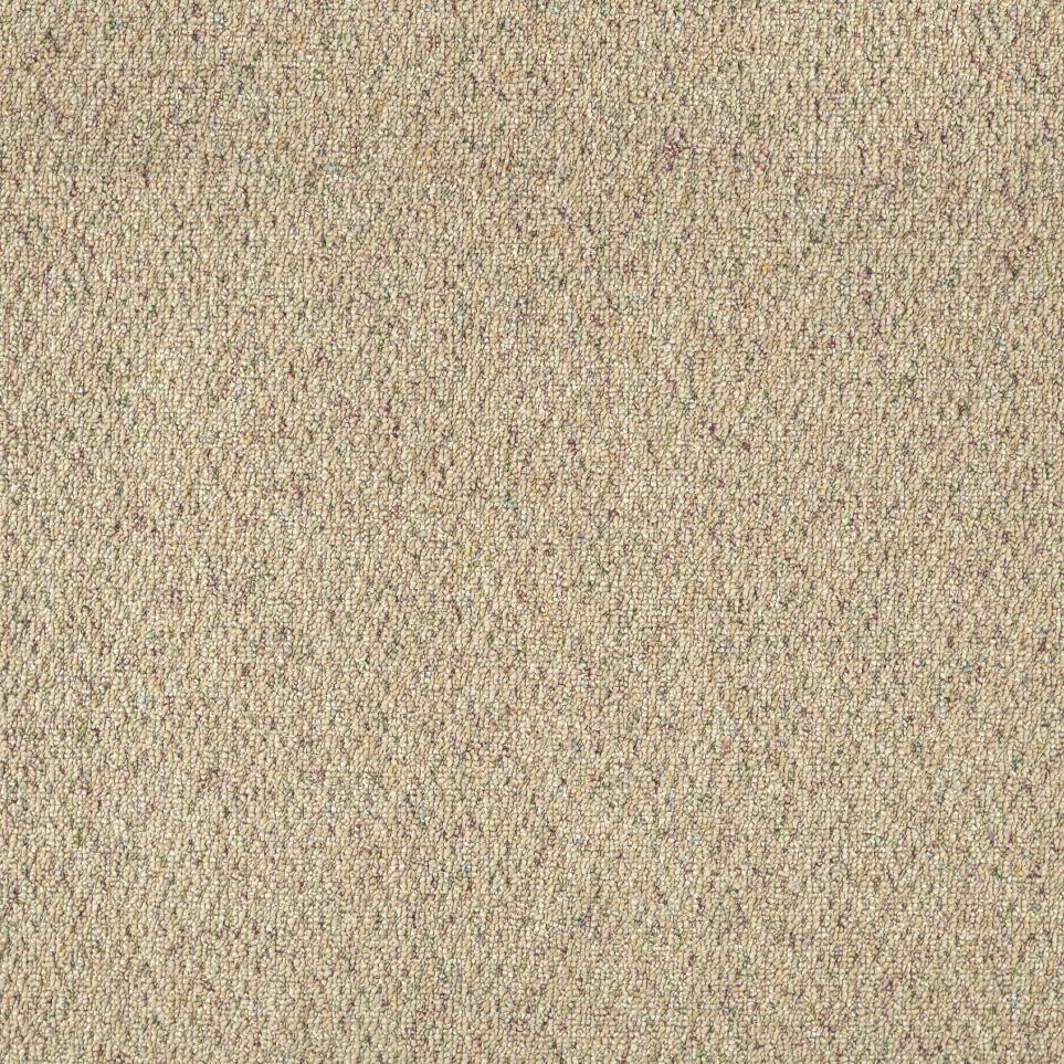 Berber Tumbleweed Beige/Tan Carpet