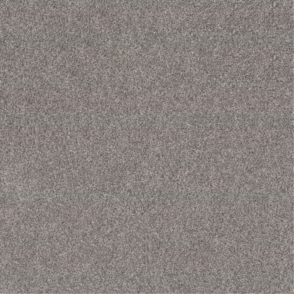 Textured Saxony Cold Water Beige/Tan Carpet