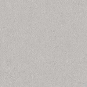 Pattern Eskimo Gray Carpet