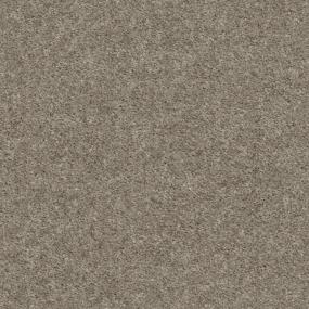 Textured Saxony Earth Tone Brown Carpet