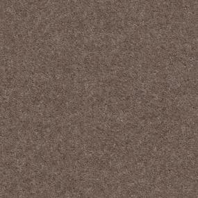 Textured Saxony Earth Tone Brown Carpet