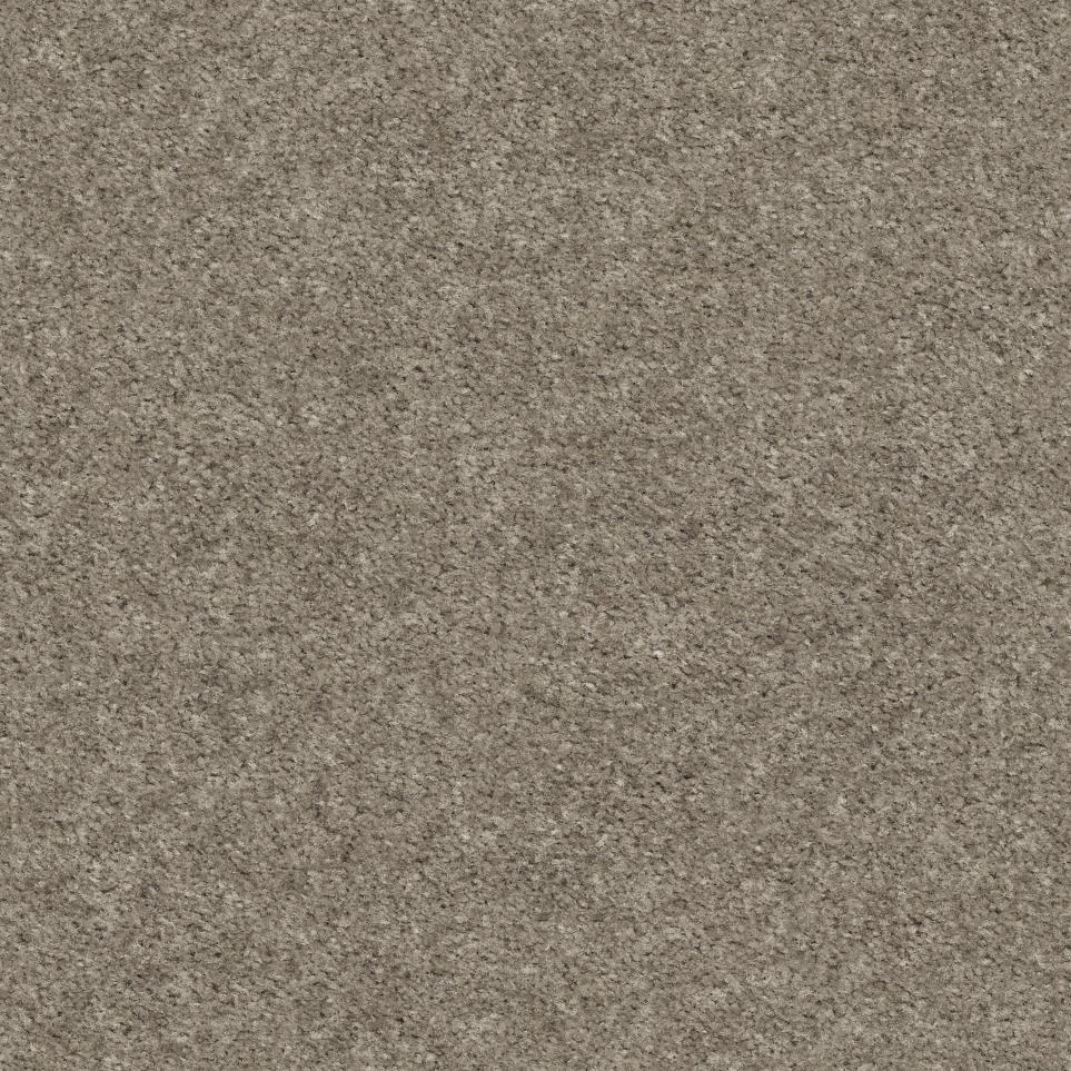 Texture Earth Tone Brown Carpet