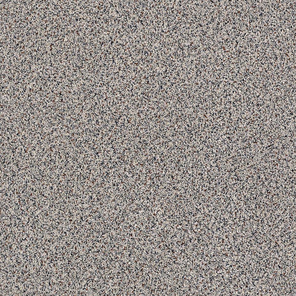 Texture Grill Beige/Tan Carpet