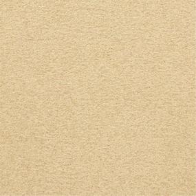 Casual Texture Vessel Beige/Tan Carpet