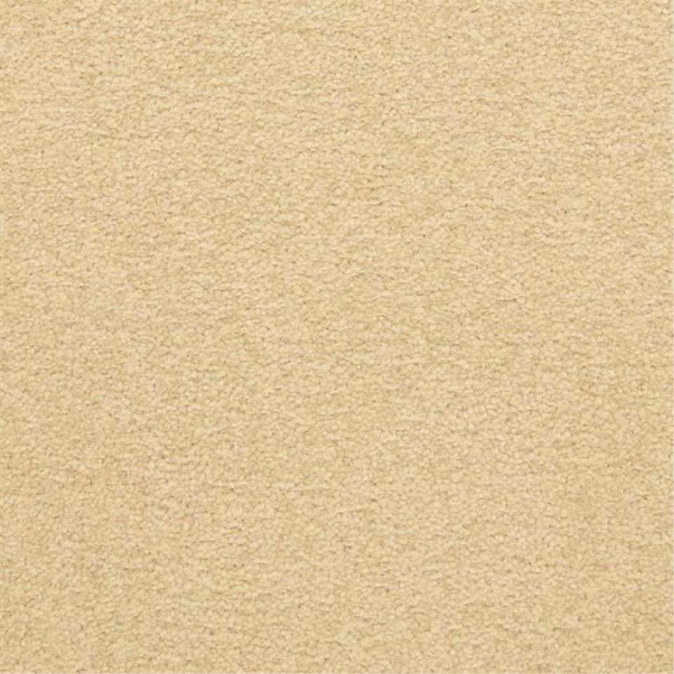 Casual Texture Vessel Beige/Tan Carpet