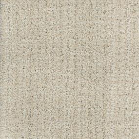Pattern Sunlit Beige/Tan Carpet