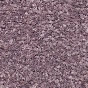 Textured Saxony VIOLA Purple Carpet