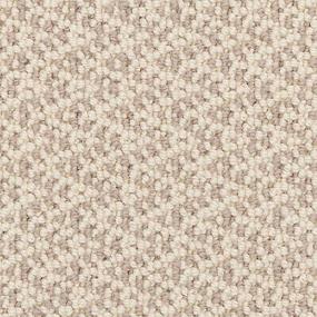 Loop Grey Velvet Gray Carpet