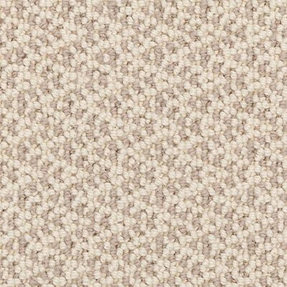 Loop Grey Velvet Gray Carpet