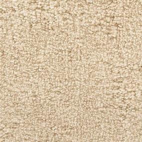 Textured Saxony Ivory Cream White Carpet