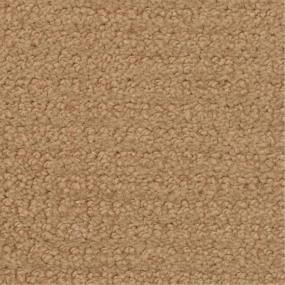 Pattern Wood Creek Beige/Tan Carpet