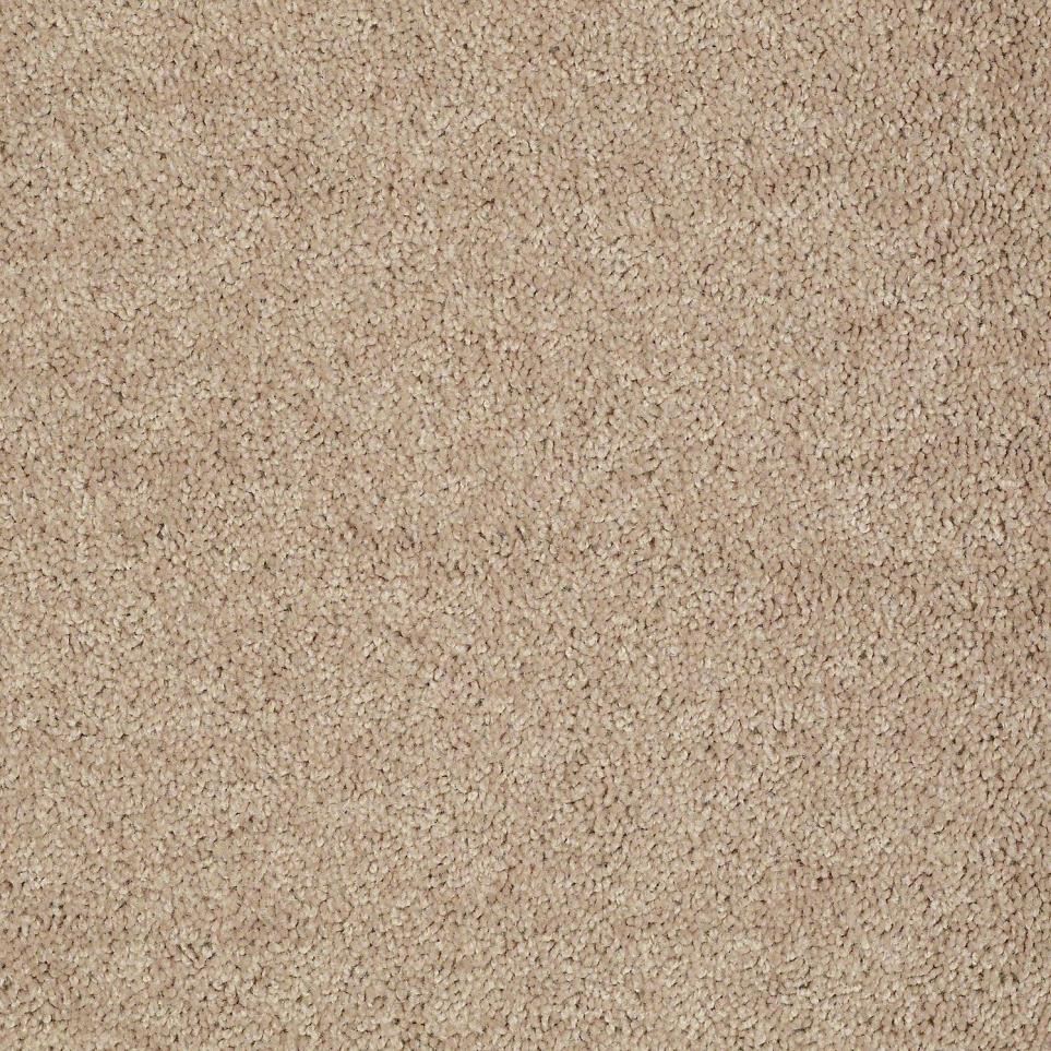 Textured Saxony Camel Tan Beige/Tan Carpet