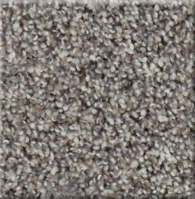 Texture Tin Roof Gray Carpet