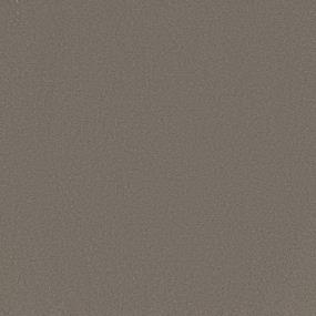 Textured Saxony Grey Skies Beige/Tan Carpet