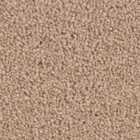 Textured Saxony Buffalo Beige/Tan Carpet