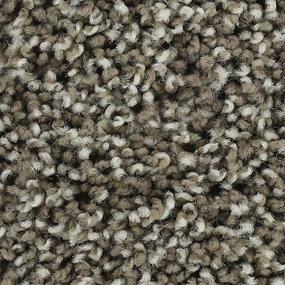 Textured Saxony TAUPE SHADOW Beige/Tan Carpet