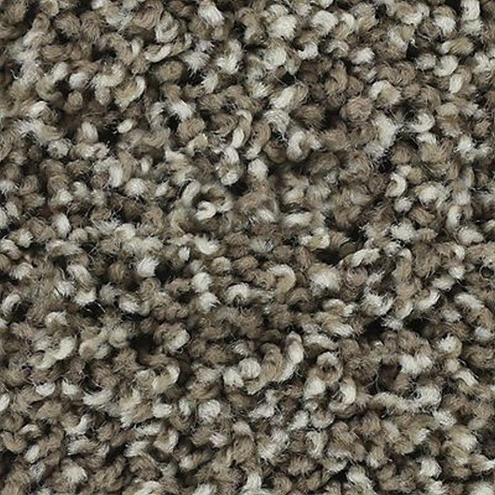 Textured Saxony TAUPE SHADOW Beige/Tan Carpet