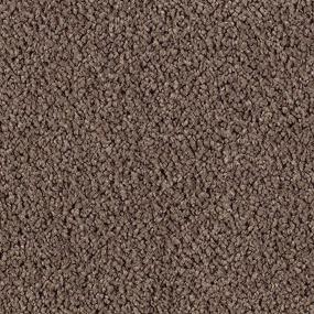 Cut Pile Brindle Brown Carpet