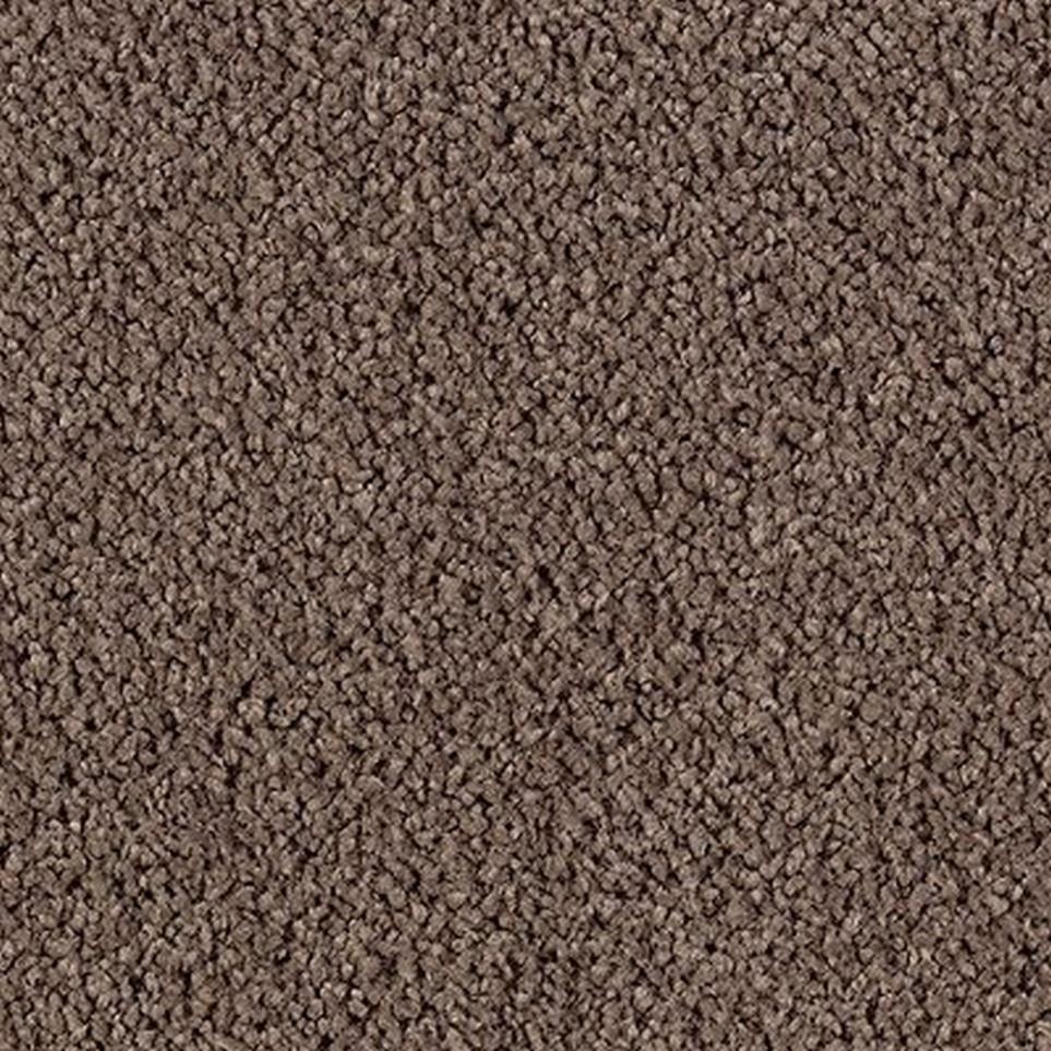Cut Pile Brindle Brown Carpet