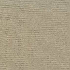 Pattern Gardeners Choice Beige/Tan Carpet