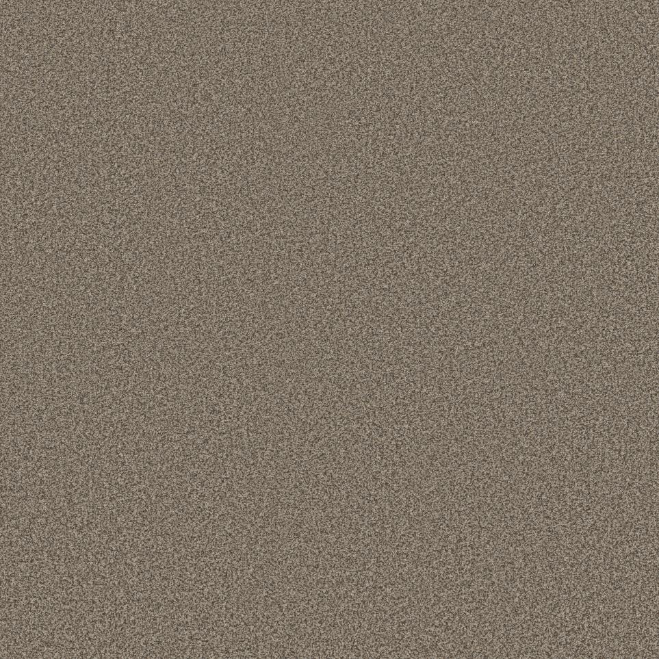 Texture Leather Beige/Tan Carpet