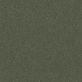Textured Saxony Dynasty Green Green Carpet