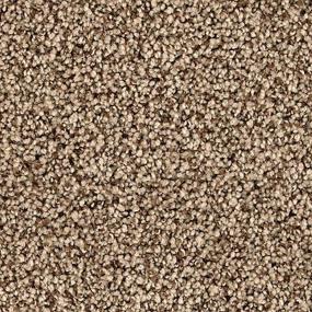 Textured Saxony Tealeaf Brown Carpet