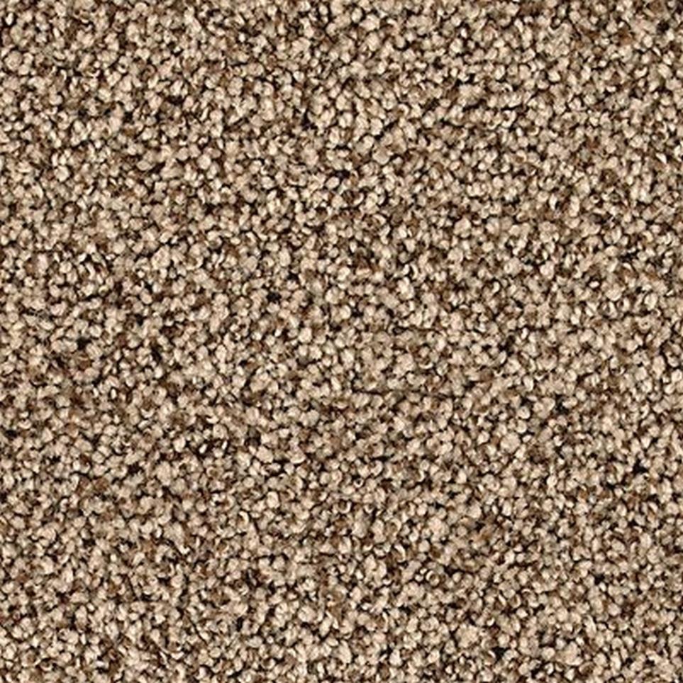 Textured Saxony Tealeaf Brown Carpet
