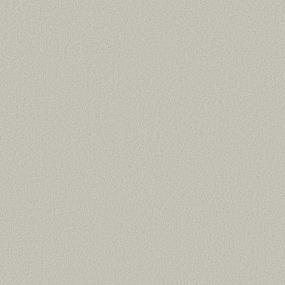 Texture MINIMALIST Gray Carpet