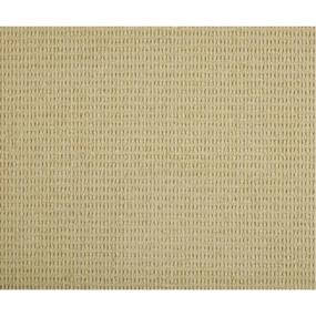 Pattern Dusty Yellow Beige/Tan Carpet