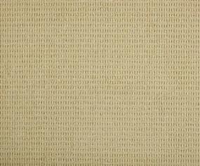 Pattern Dusty Yellow Beige/Tan Carpet