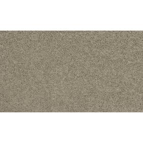 Textured Saxony Dusk Beige/Tan Carpet