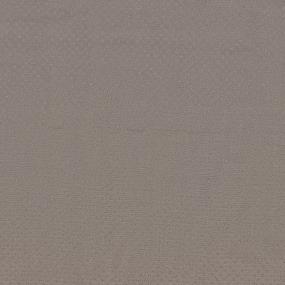 Pattern Fallow Beige/Tan Carpet