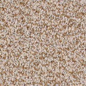 Textured Saxony Pristine Brown Carpet