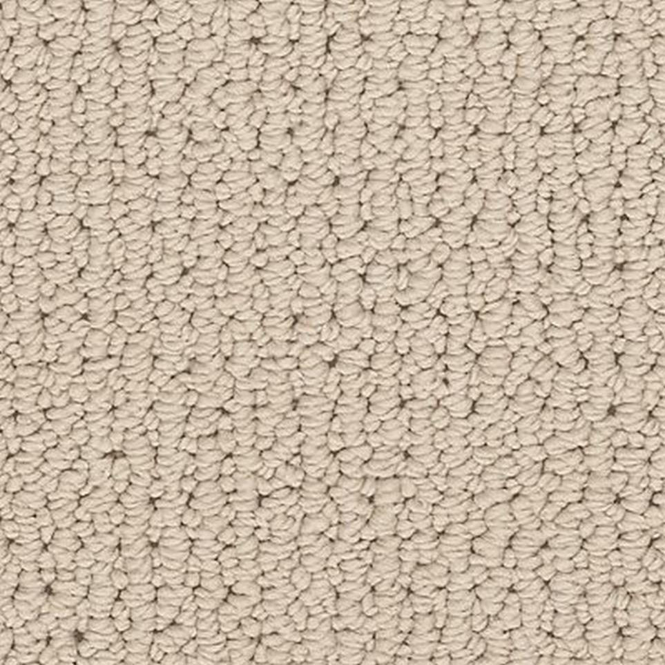 Loop Portrait Beige/Tan Carpet