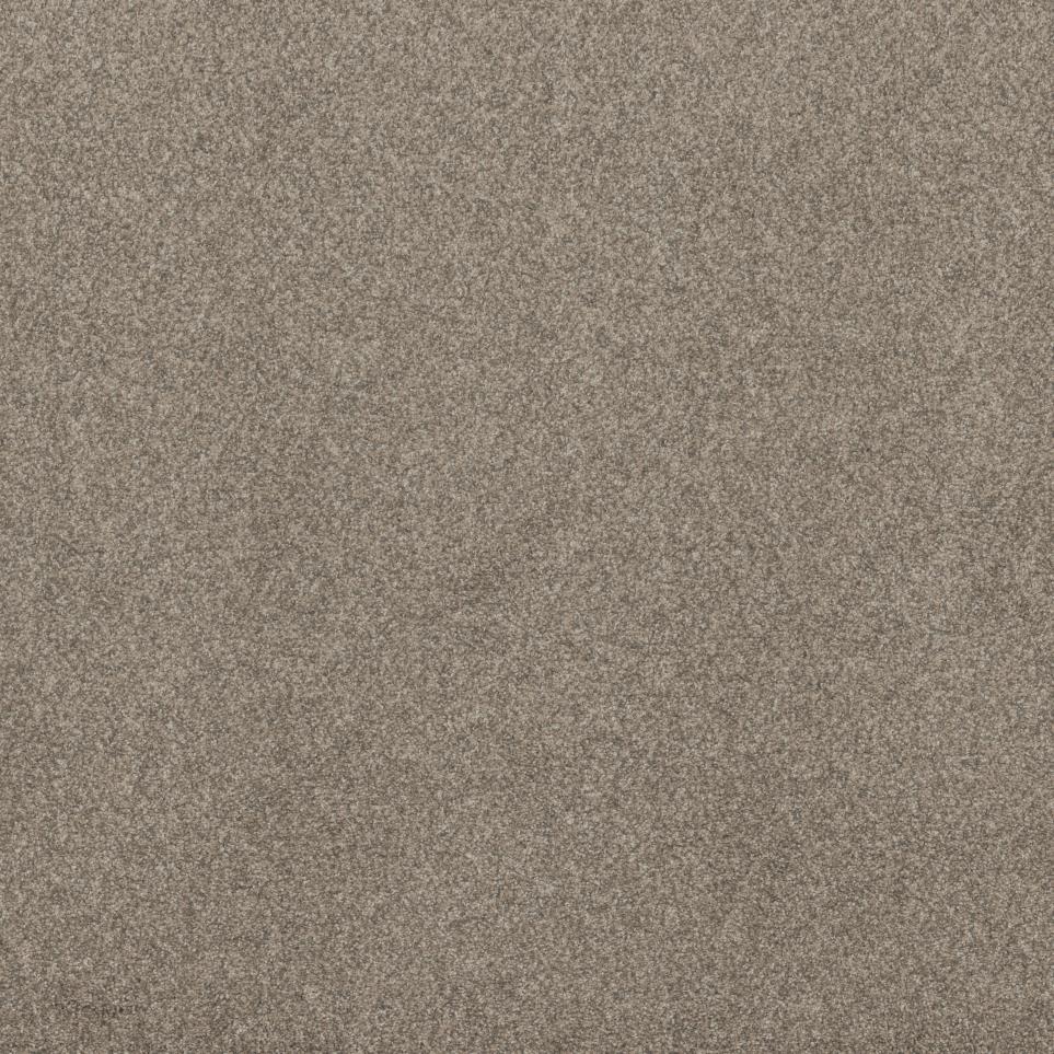 Texture Heirloom Beige/Tan Carpet