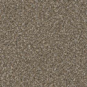 Textured Saxony Suite Brown Carpet