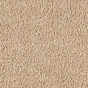 Textured Saxony Contempo Brown Carpet