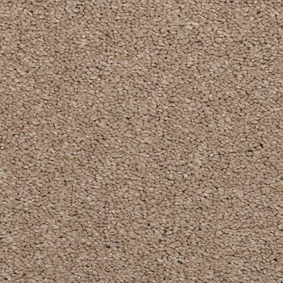 Textured Saxony Taupe Beige/Tan Carpet