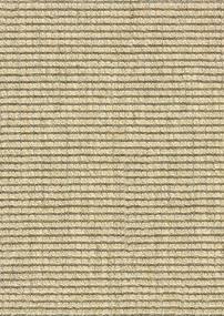 Pattern Surf Beige/Tan Carpet