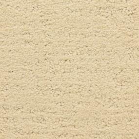 Pattern Shoreline Beige/Tan Carpet