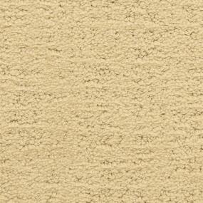 Pattern Mission Canyon Beige/Tan Carpet