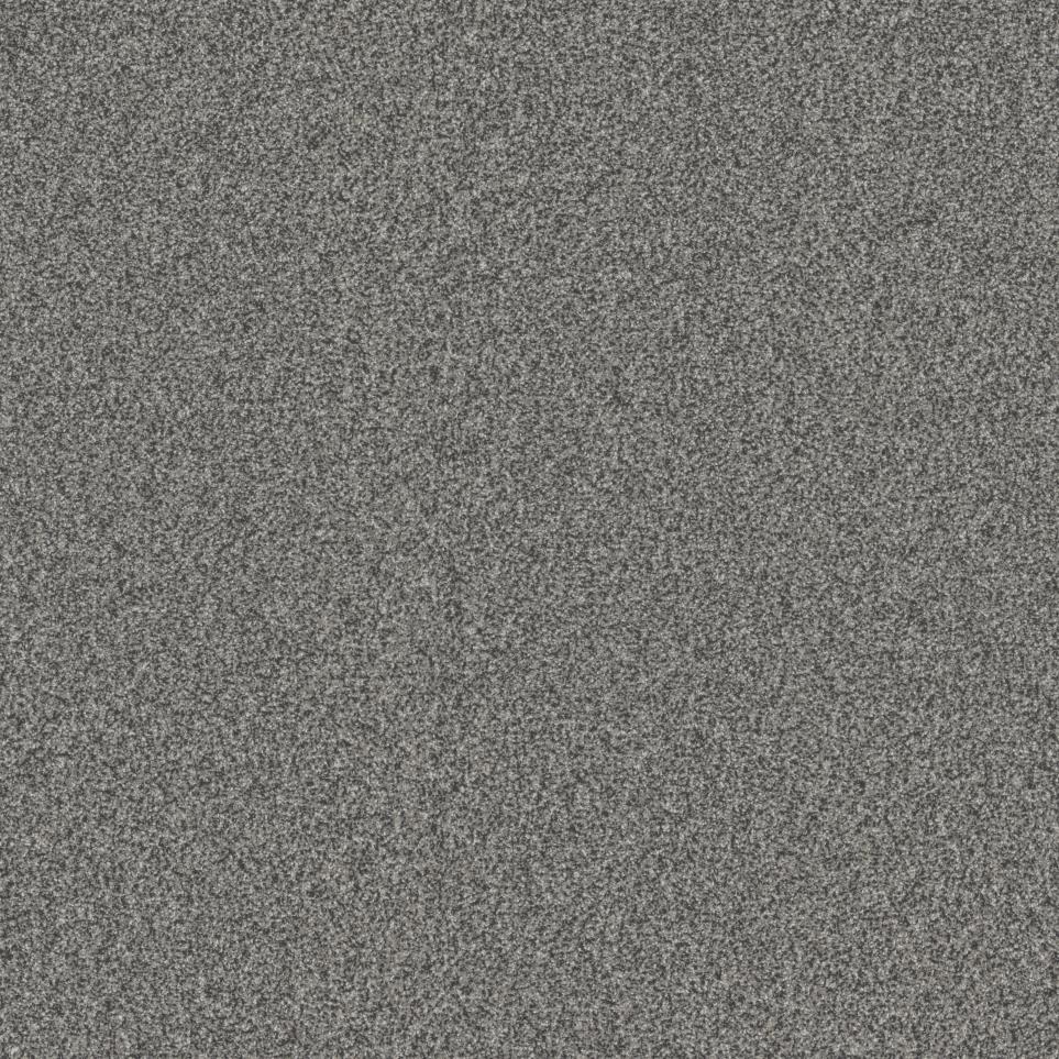 Textured Saxony Marmaduke Gray Carpet
