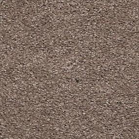 Textured Saxony Marvelous Brown Carpet