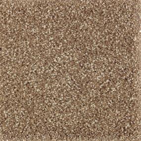 Textured Saxony Native Soil Beige/Tan Carpet