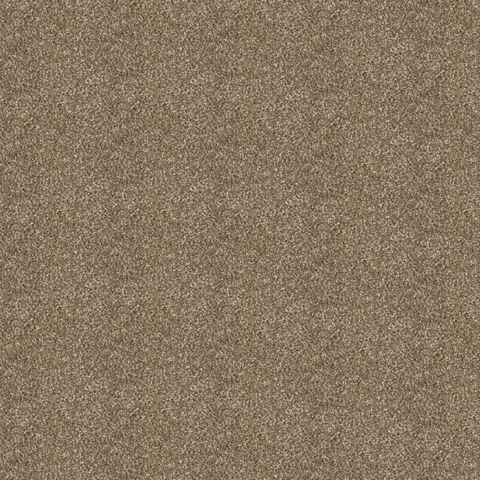 Texture Native Soil  Carpet