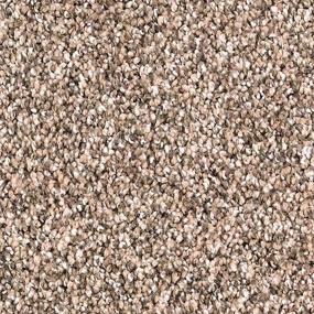 Textured Saxony Whole Grain Brown Carpet