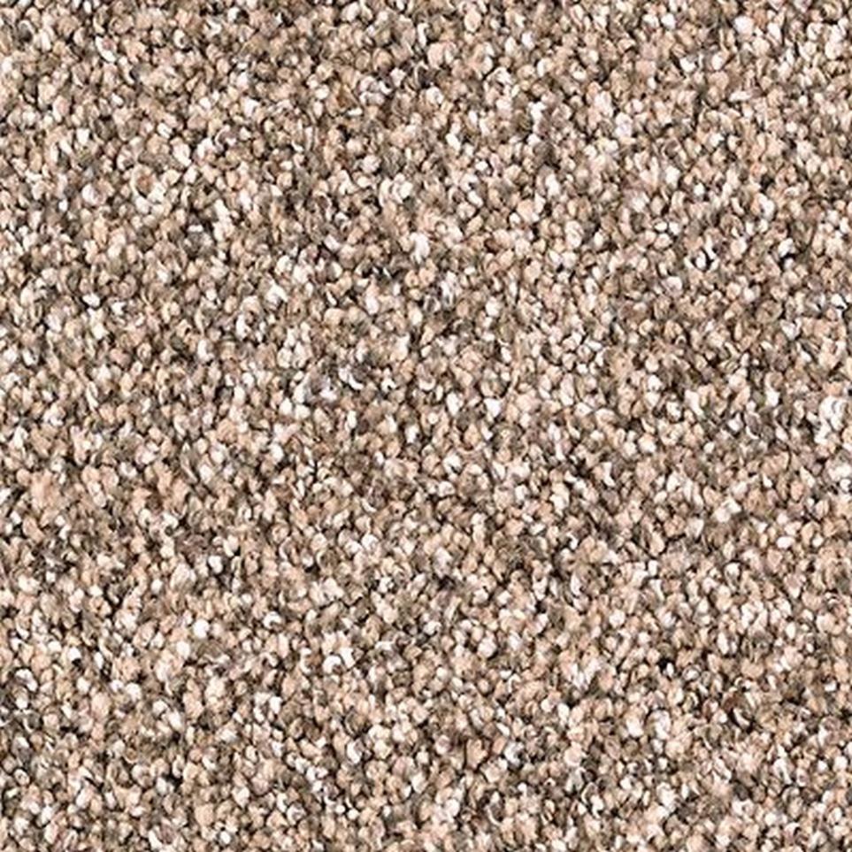 Textured Saxony Whole Grain Brown Carpet
