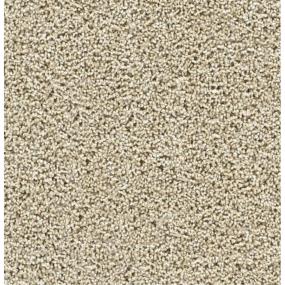 Textured Saxony Great Addition Beige/Tan Carpet
